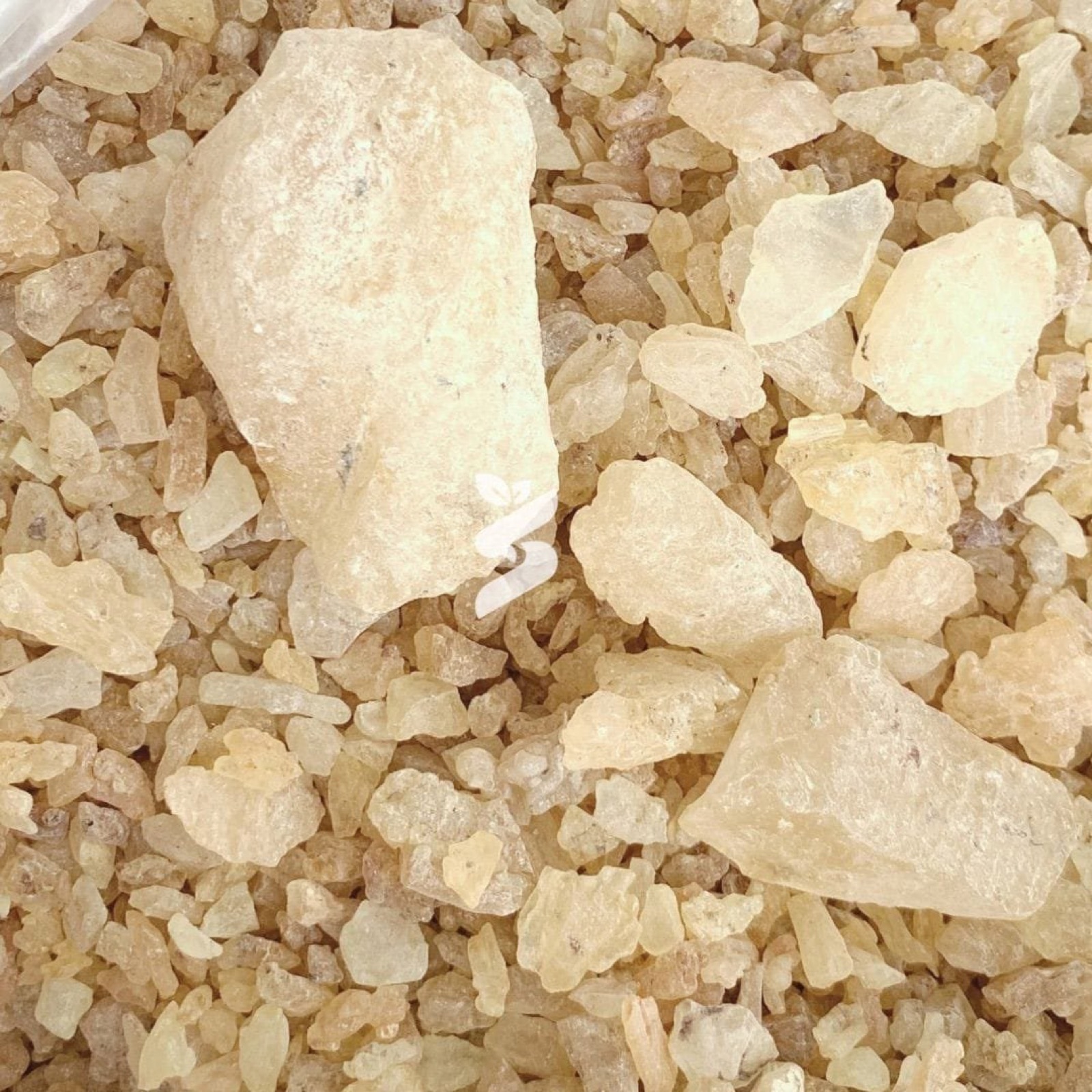 Gum Copal 2