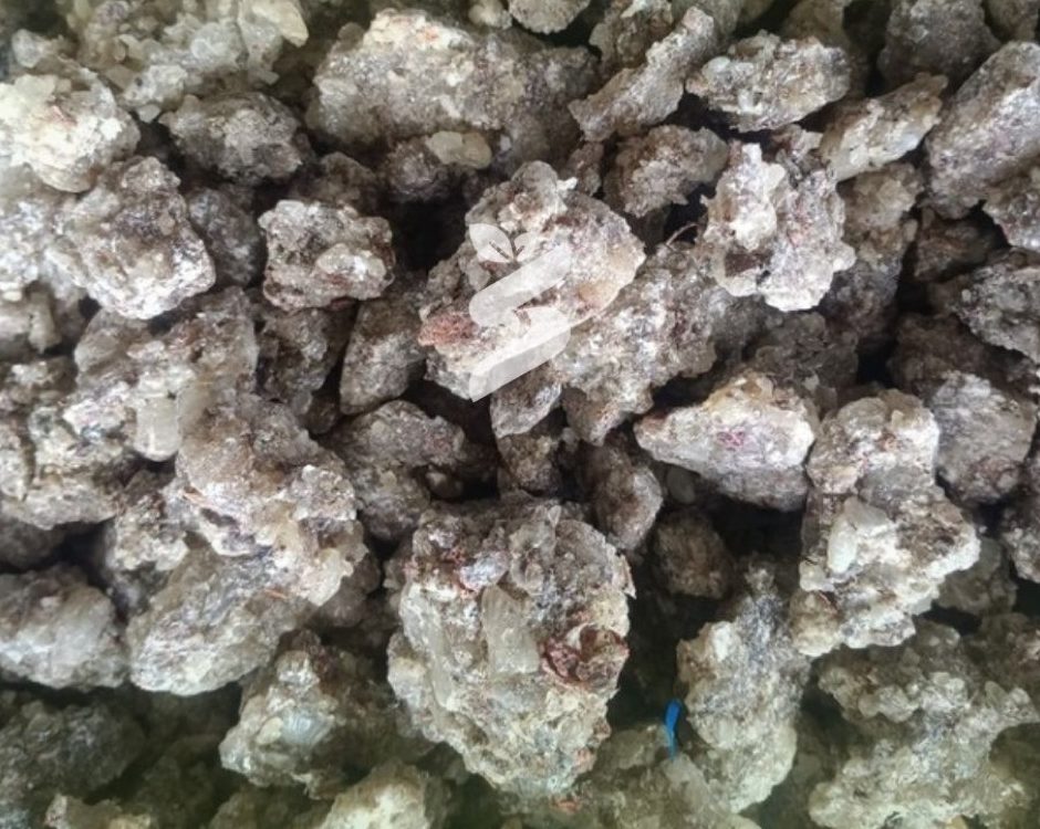 Gum copal WS — নমুনা